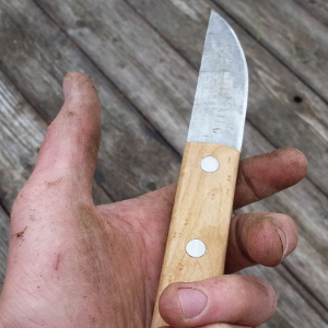 Field Knife, Bird's Eye Maple